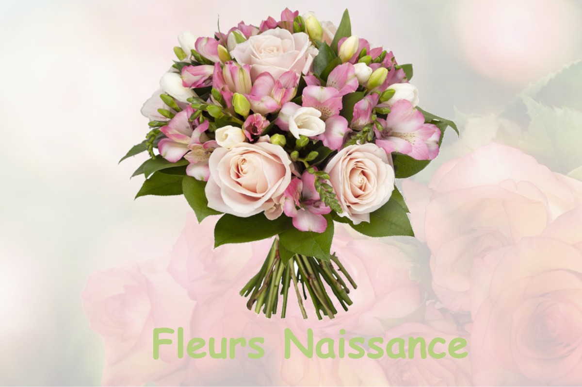 fleurs naissance SAINT-MAURICE-DE-TAVERNOLE